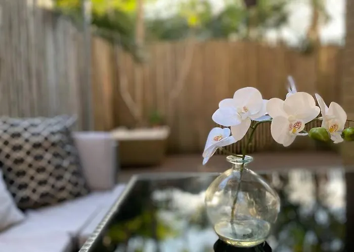Beautiful 1 Bedroom Unit 1 Block From Coogee Beach